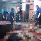 Cina choc, la denuncia degli animalisti: cani uccisi e scuoiati per fabbricare prodotti di pelle
