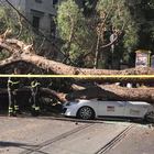 Cadono alberi per il vento forte: due morti. Attimi di paura anche in centro a Roma. Il maltempo manda i treni in tilt