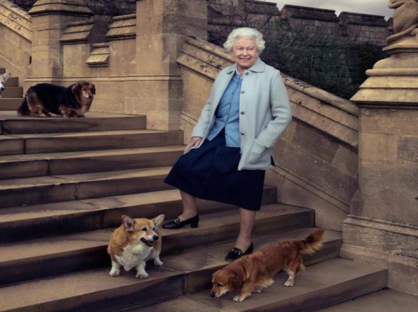 Regina Elisabetta, a chi andranno i suoi cani Corgi? La ...