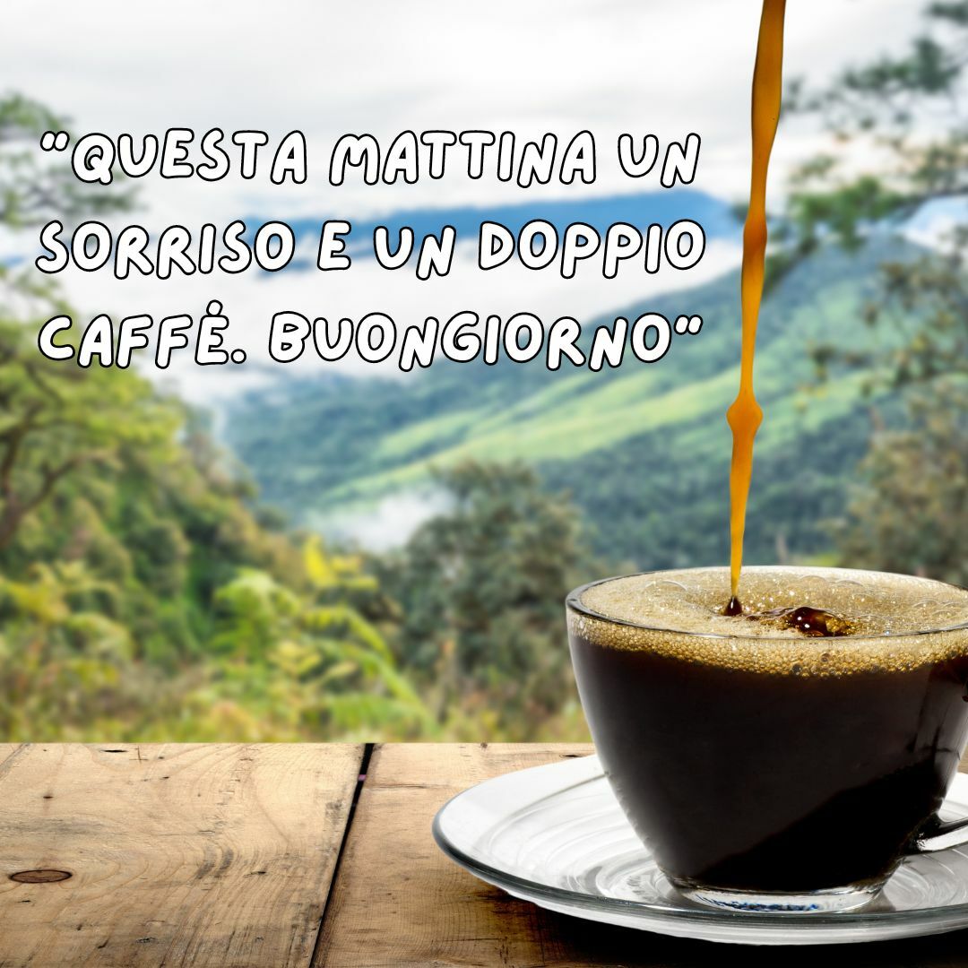 immagine2