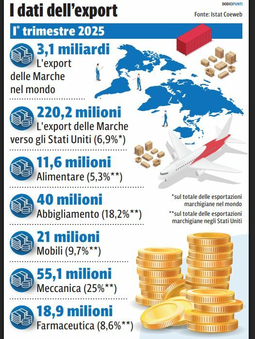 Calze Ginocchio Cosyfeet – 6 Paia, 20 Denari, Piede Extra Largo, Comode Per Tutti I Giorni
